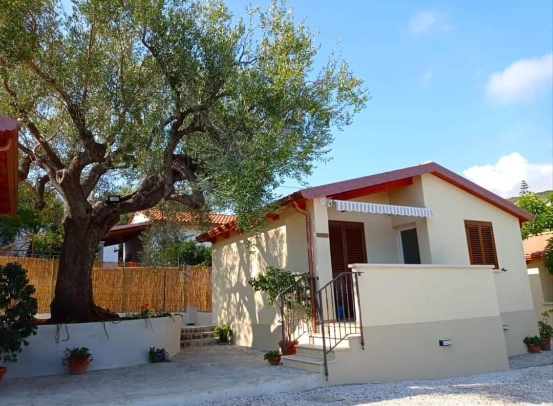 Case Vacanze La Quercia Marina di Camerota Exterior foto