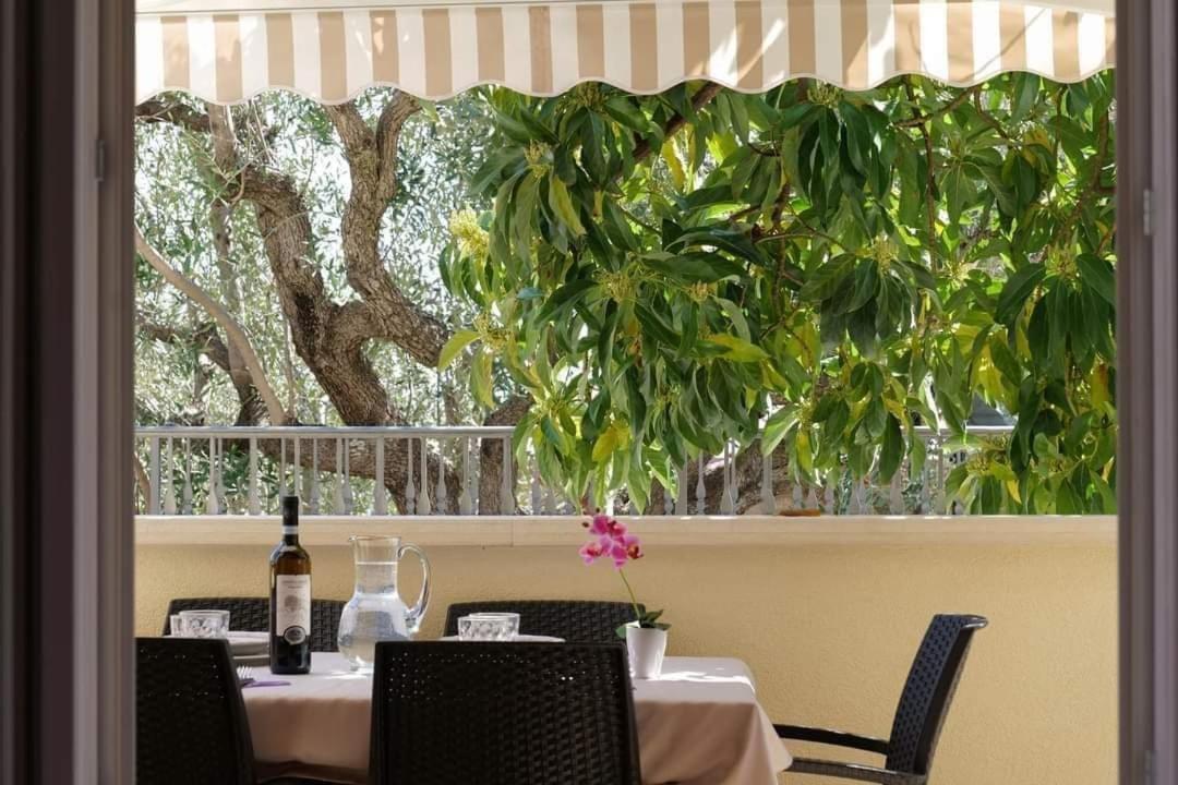Case Vacanze La Quercia Marina di Camerota Exterior foto
